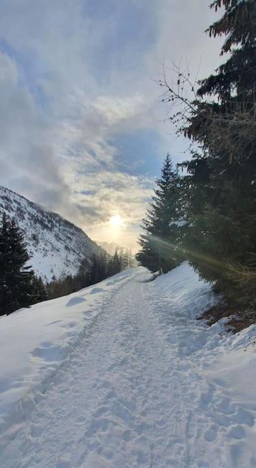 Residenza Sofia - Ponte Di Legno Fraz. Pezzoヴィラ エクステリア 写真